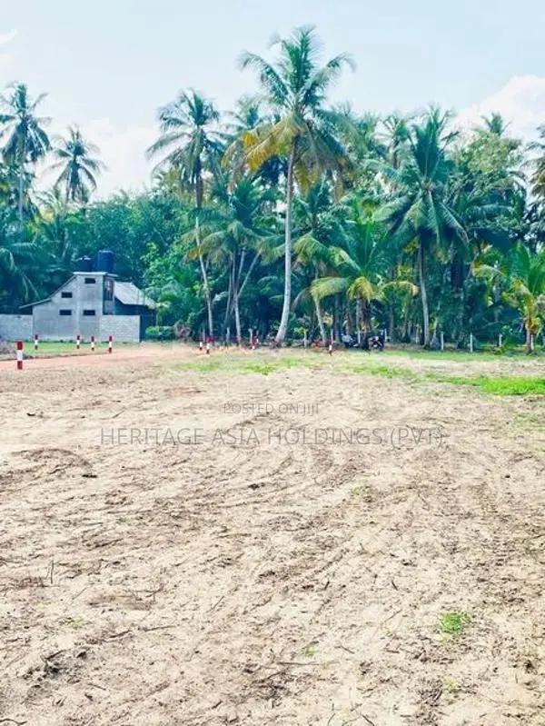 හලාවතට ආසන්නයෙන්ම සුපිරි සින්නක්කර ඉඩමක්