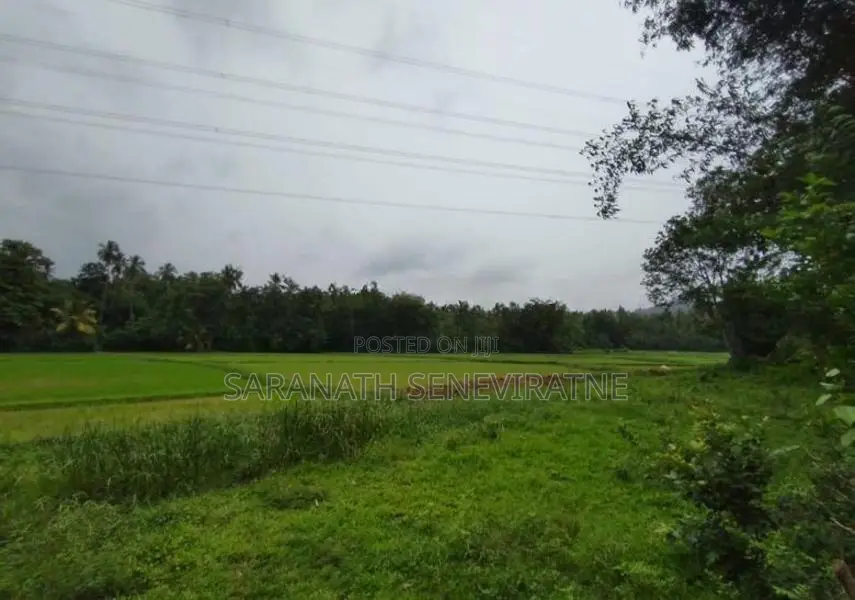 Land Facing Paddy Fields - Kurunegala Kidapola කුරුණෑගල කිඩපොල