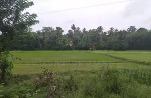 Land Facing Paddy Fields - Kurunegala Kidapola කුරුණෑගල කිඩපොල