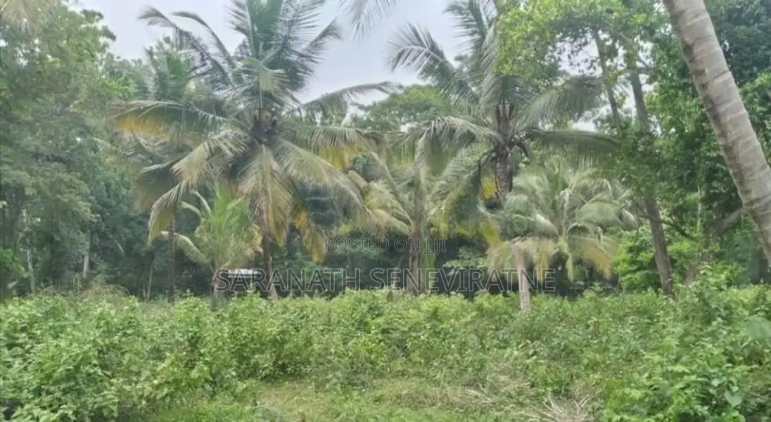 Land Facing Paddy Fields - Kurunegala Kidapola කුරුණෑගල කිඩපොල