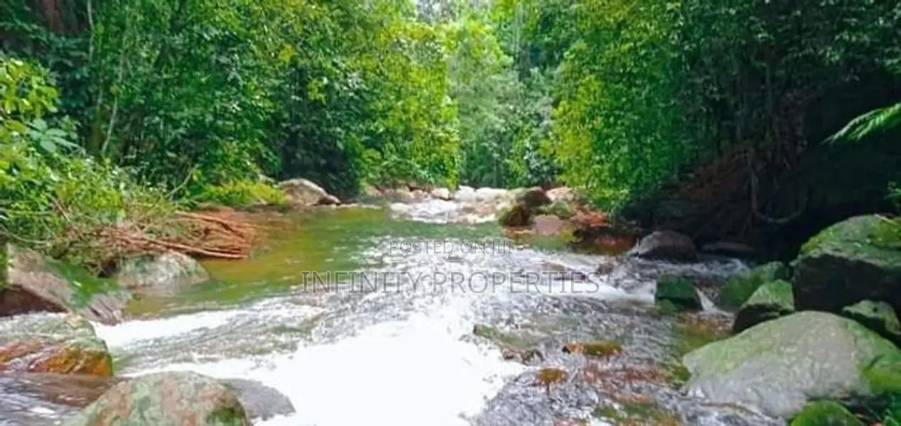 (AFA191) 92 Acre Land for Sale at Dolos Bage Nawalapitiya