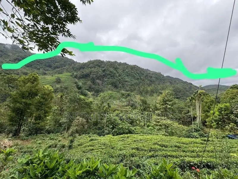 (AFA191) 92 Acre Land for Sale at Dolos Bage Nawalapitiya