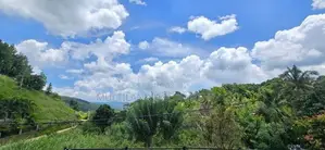 5 Blocks Land For Sale in Heeressagala