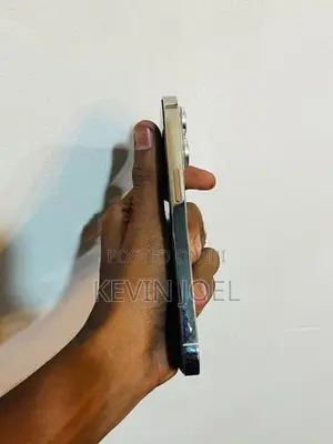 Apple iPhone 13 Pro (Used)