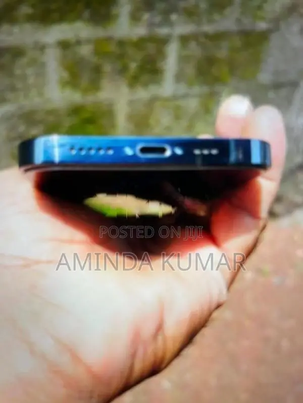 Apple iPhone 12 Pro (Used)
