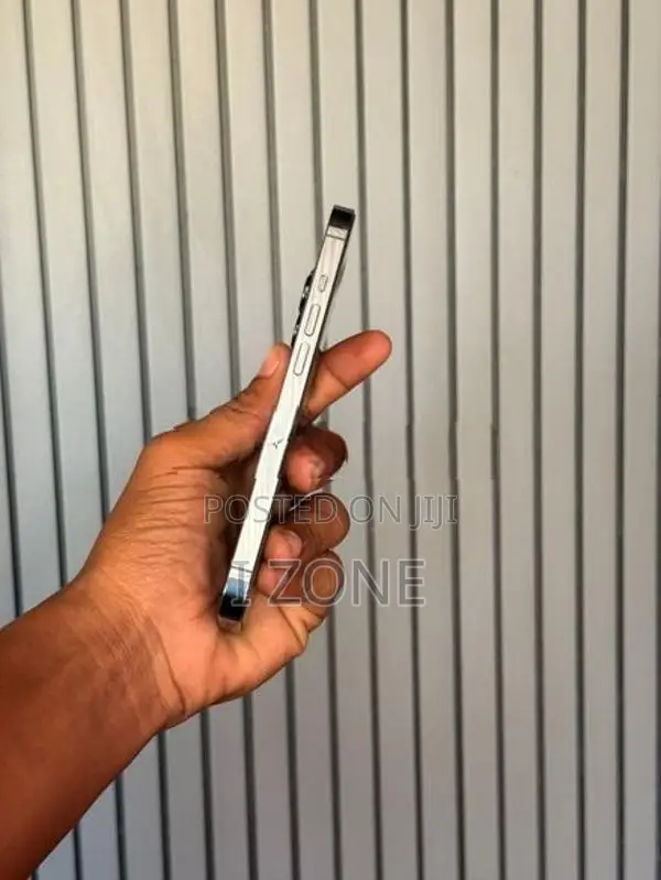 Apple iPhone 13 Pro (Used)