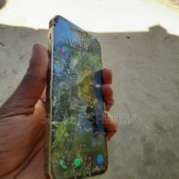 Apple iPhone 12 Pro (Used)