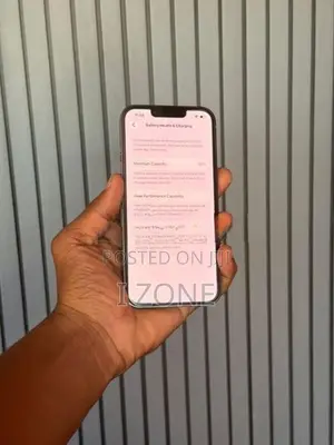 Apple iPhone 13 Pro (Used)