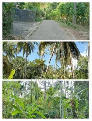 Valuable 504 P Agriculture Land with House for Sale in Matara Beliatta