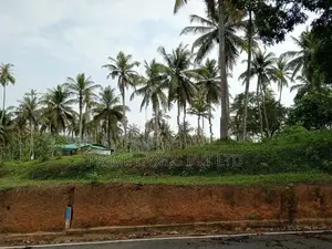 Land for Sale in Labeema