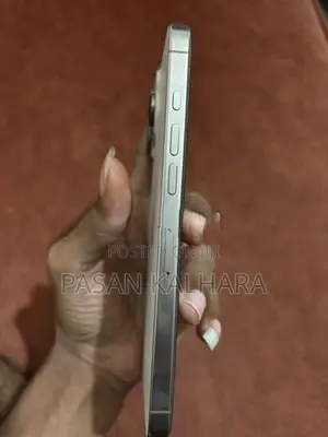 Apple iPhone 16 Pro Max (Used)