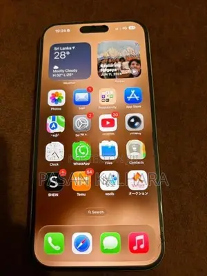 Apple iPhone 16 Pro Max (Used)