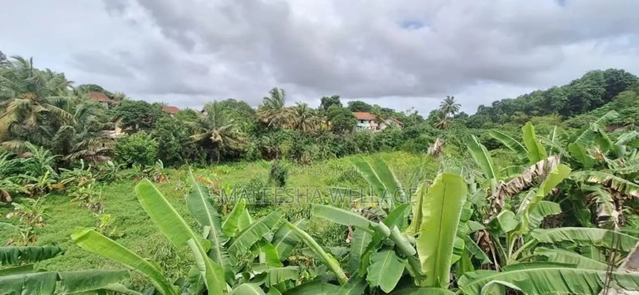 3.5 Acres of Land for Sale – Thalgasgoda