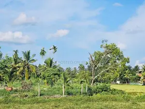 (AFA198) Paddy Field Facing 88P Land for Sale -Homagama