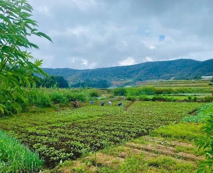 (AFA199) 58P Land for Sale in Nuwara Eliya Hills