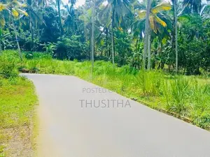 Mirigama දිවුලපිටිය ප්‍රධාන පාරට ආසන්නයෙන් ඉඩමක්