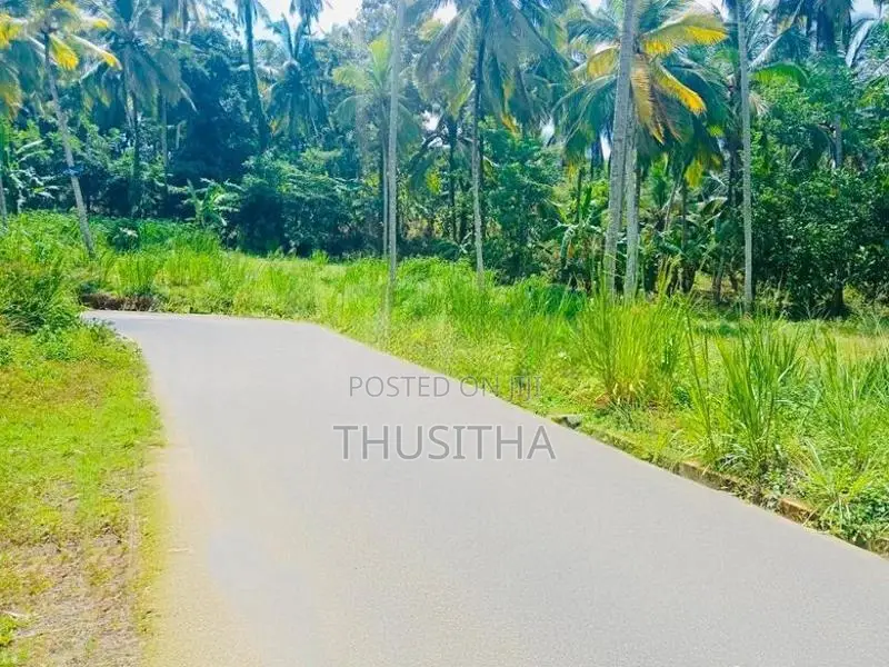 Mirigama දිවුලපිටිය ප්‍රධාන පාරට ආසන්නයෙන් ඉඩමක්