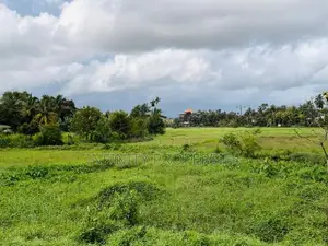 (AFA198) Paddy Field Facing 88P Land for Sale -Homagama
