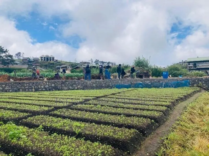 (AFA199) 58P Land for Sale in Nuwara Eliya Hills