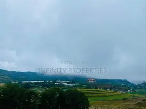 (AFA199) 58P Land for Sale in Nuwara Eliya Hills