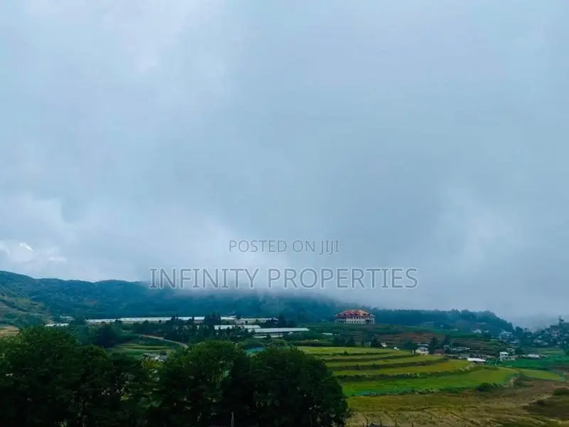 (AFA199) 58P Land for Sale in Nuwara Eliya Hills