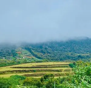 (AFA199) 58P Land for Sale in Nuwara Eliya Hills