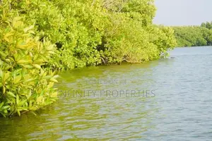 (AFA203) Water Front 23.5 Acre Land Sale At Chilaw