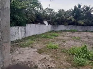 COLOMBO 14 : 63P MASSIVE COMMERCIAL LAND FOR SALE