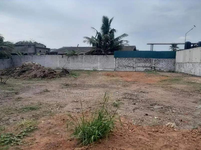 COLOMBO 14 : 63P MASSIVE COMMERCIAL LAND FOR SALE