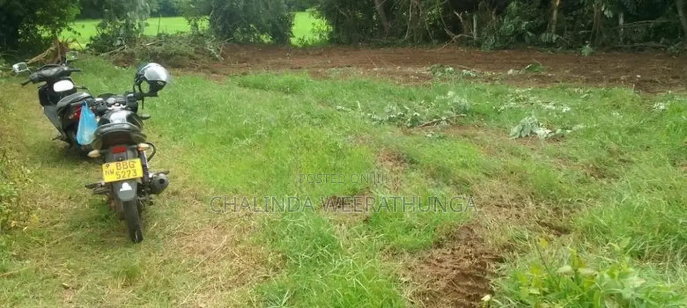 Kurunegala City Range Land for Sale