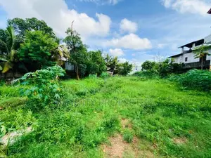 (AFA211) 9.6P Land for Sale At Santhanampitiya Road Ebuldeneya Nugegod