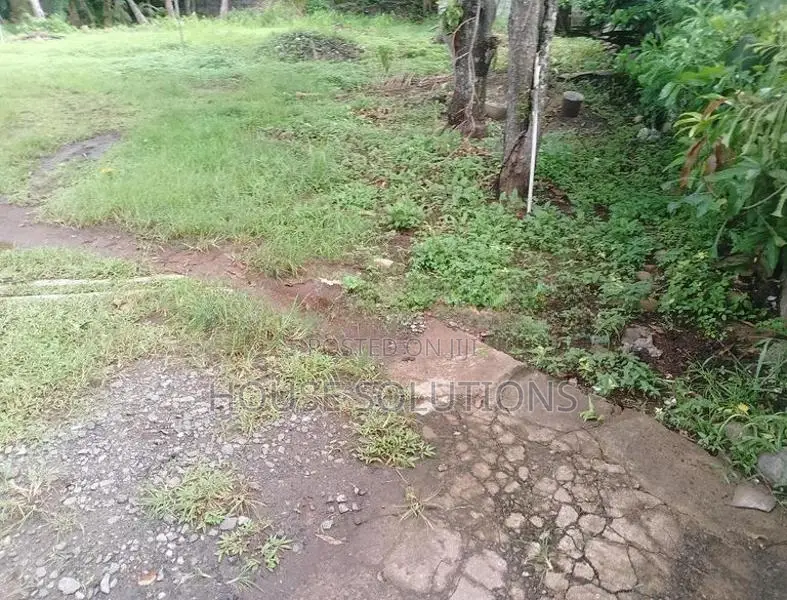 Land for sale in Katubedda
