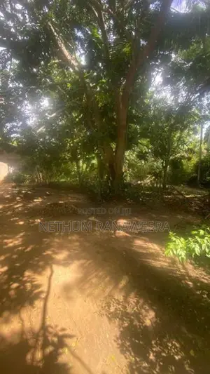 ඇඹිලිපිටිය ඉඩමක් සමඟ නිවසක් විකිණීමට