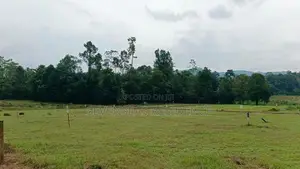 Best land for sale Eheliyagoda