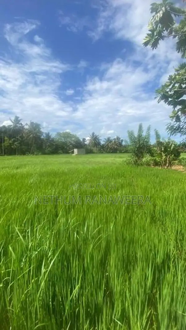 ඇඹිලිපිටිය ඉඩමක් සමඟ නිවසක් විකිණීමට