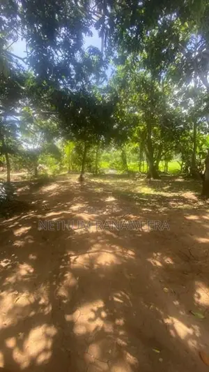 ඇඹිලිපිටිය ඉඩමක් සමඟ නිවසක් විකිණීමට