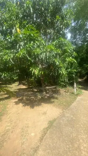 ඇඹිලිපිටිය ඉඩමක් සමඟ නිවසක් විකිණීමට