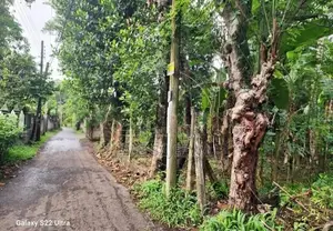 Valuable 15 Perch Land for Sale in Gampaha, Yakkala