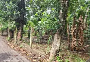 Valuable 15 Perch Land for Sale in Gampaha, Yakkala