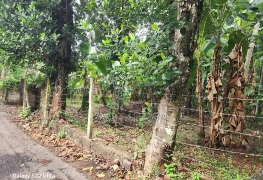 Valuable 15 Perch Land for Sale in Gampaha, Yakkala