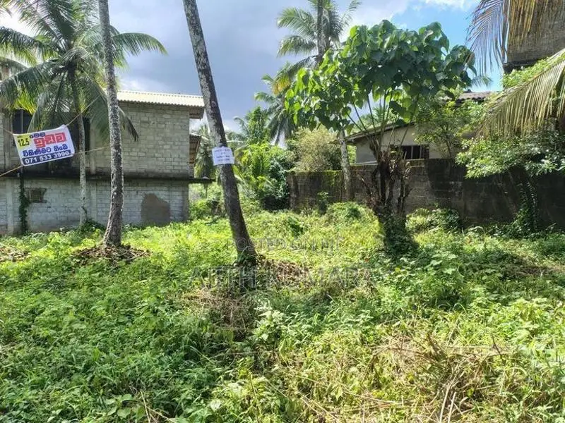 Land for Sale Katukurunda Road, Henegama