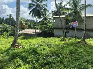 Land for Sale Katukurunda Road, Henegama