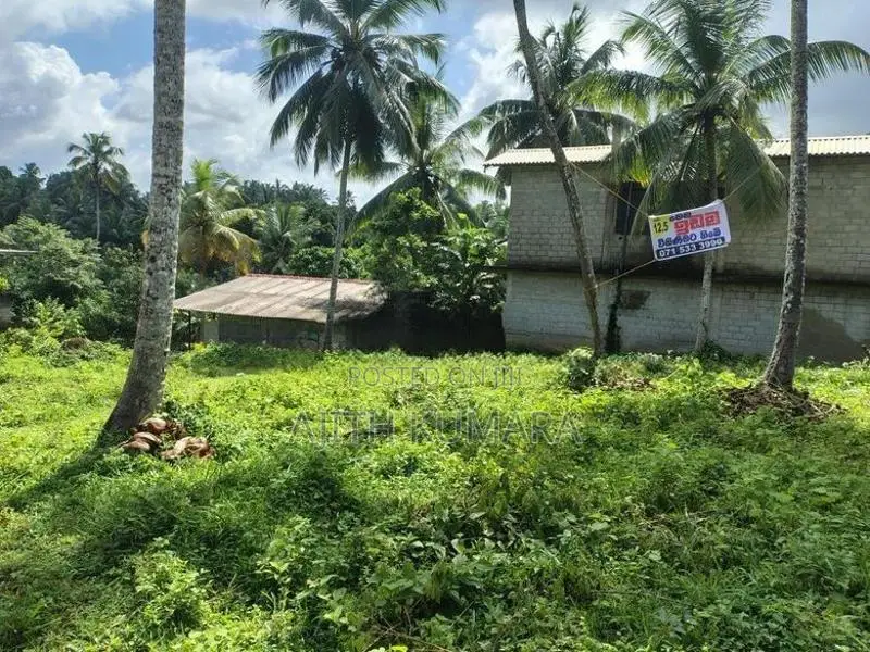 Land for Sale Katukurunda Road, Henegama