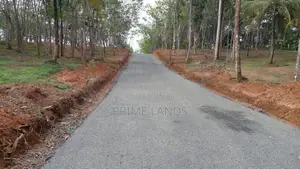 අහ‍ංගම සංචාරක කලාපයෙන් බිම් කොටස්