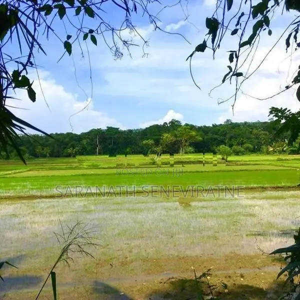 Land in Mirigama -Overlooking a Paddy Field With Old House - Meerigama