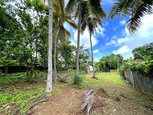 Land For Sale in Athul Kotte Alakeshwara Rd