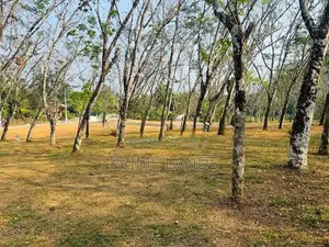 Valueble Plots for Sale in Kananvila