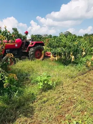 25.5 Acres 100% Fruitful TJC Mango Orchard For Sale in Girandurukotte