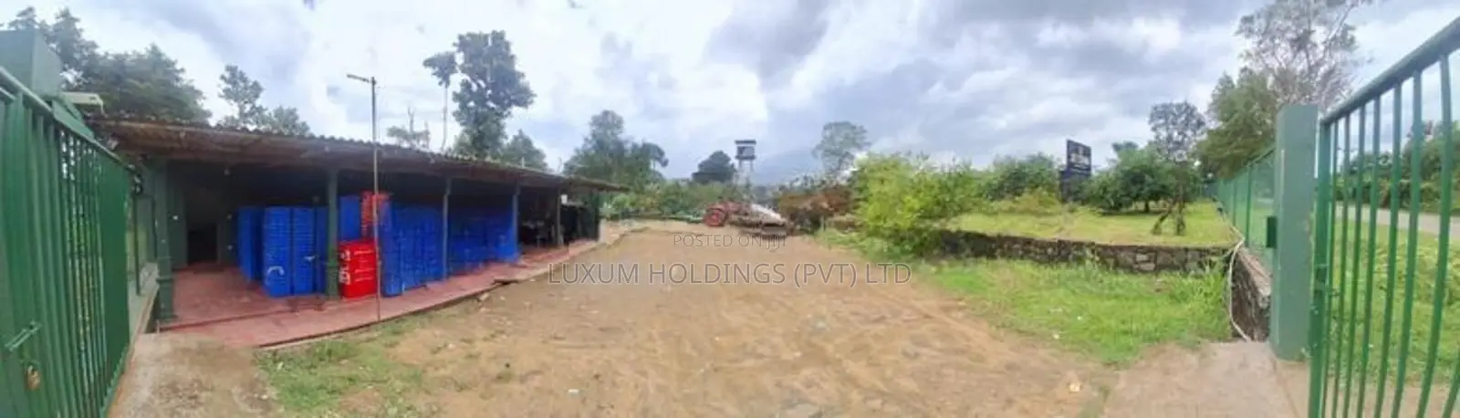 TJC Mango 100% Fruitful 25.5 Acres Orchard For Sale in Girandurukotte