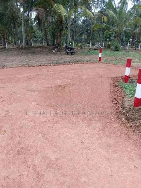 ඉඩමක් - හලාවත